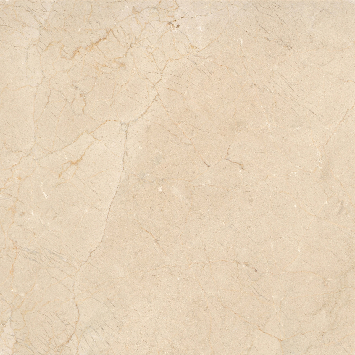 Marble Crema Marfil Polished